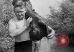 Standbild Skelett von Mammut Kewanee Illinois United States USA, 1933, aus Sekunde 41 historischem Filmmaterial Videoclip 65675041252