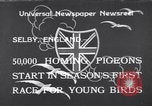Image of Pigeons Selby England United Kingdom, 1933, second 1 stock footage video 65675041255