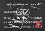 Image of Pigeons Selby England United Kingdom, 1933, second 3 stock footage video 65675041255