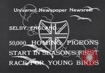 Image of Pigeons Selby England United Kingdom, 1933, second 4 stock footage video 65675041255