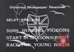 Image of Pigeons Selby England United Kingdom, 1933, second 5 stock footage video 65675041255