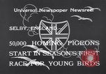 Image of Pigeons Selby England United Kingdom, 1933, second 7 stock footage video 65675041255