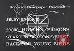 Image of Pigeons Selby England United Kingdom, 1933, second 10 stock footage video 65675041255