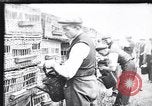 Image of Pigeons Selby England United Kingdom, 1933, second 11 stock footage video 65675041255