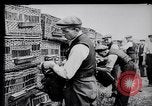 Image of Pigeons Selby England United Kingdom, 1933, second 12 stock footage video 65675041255