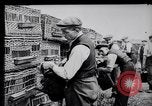 Image of Pigeons Selby England United Kingdom, 1933, second 13 stock footage video 65675041255