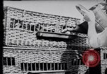 Image of Pigeons Selby England United Kingdom, 1933, second 15 stock footage video 65675041255