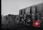 Image of Pigeons Selby England United Kingdom, 1933, second 20 stock footage video 65675041255