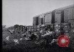 Image of Pigeons Selby England United Kingdom, 1933, second 21 stock footage video 65675041255