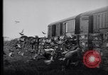 Image of Pigeons Selby England United Kingdom, 1933, second 22 stock footage video 65675041255
