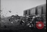 Image of Pigeons Selby England United Kingdom, 1933, second 27 stock footage video 65675041255