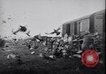 Image of Pigeons Selby England United Kingdom, 1933, second 28 stock footage video 65675041255