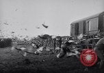 Image of Pigeons Selby England United Kingdom, 1933, second 29 stock footage video 65675041255