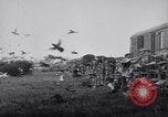 Image of Pigeons Selby England United Kingdom, 1933, second 30 stock footage video 65675041255