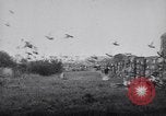 Image of Pigeons Selby England United Kingdom, 1933, second 32 stock footage video 65675041255