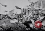 Image of Pigeons Selby England United Kingdom, 1933, second 33 stock footage video 65675041255