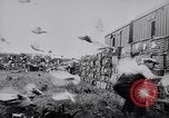 Image of Pigeons Selby England United Kingdom, 1933, second 35 stock footage video 65675041255