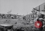Image of Pigeons Selby England United Kingdom, 1933, second 36 stock footage video 65675041255