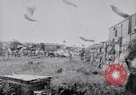 Image of Pigeons Selby England United Kingdom, 1933, second 37 stock footage video 65675041255