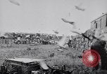 Image of Pigeons Selby England United Kingdom, 1933, second 38 stock footage video 65675041255