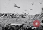Image of Pigeons Selby England United Kingdom, 1933, second 40 stock footage video 65675041255