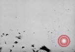 Image of Pigeons Selby England United Kingdom, 1933, second 42 stock footage video 65675041255