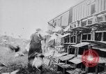 Image of Pigeons Selby England United Kingdom, 1933, second 47 stock footage video 65675041255