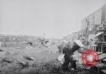 Image of Pigeons Selby England United Kingdom, 1933, second 51 stock footage video 65675041255