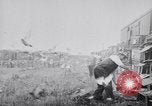 Image of Pigeons Selby England United Kingdom, 1933, second 52 stock footage video 65675041255