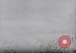 Image of Pigeons Selby England United Kingdom, 1933, second 60 stock footage video 65675041255