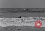 Image of Anna Van Skike Venice Beach Los Angeles California USA, 1933, second 30 stock footage video 65675041258