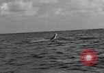 Image of fishing by blimp airship Fisher Island Florida USA, 1934, second 29 stock footage video 65675041265