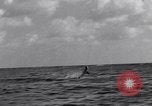 Image of fishing by blimp airship Fisher Island Florida USA, 1934, second 30 stock footage video 65675041265