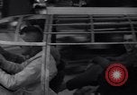 Image of Stout Scarab automobile Hollywood Los Angeles California USA, 1935, second 25 stock footage video 65675041272