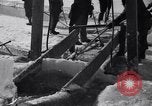 Image épaisses couches de glace Bangor Maine United States USA, 1935, de la seconde 45 séquences d'archives historiques vidéo 65675041273