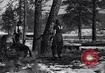 Image l'abattage d'arbres contest Luther Washington USA, 1935, de la seconde 13 séquences d'archives historiques vidéo 65675041274
