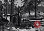 Image l'abattage d'arbres contest Luther Washington USA, 1935, de la seconde 14 séquences d'archives historiques vidéo 65675041274