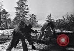 Image l'abattage d'arbres contest Luther Washington USA, 1935, de la seconde 22 séquences d'archives historiques vidéo 65675041274