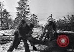 Image l'abattage d'arbres contest Luther Washington USA, 1935, de la seconde 23 séquences d'archives historiques vidéo 65675041274
