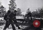 Image l'abattage d'arbres contest Luther Washington USA, 1935, de la seconde 24 séquences d'archives historiques vidéo 65675041274