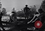 Image l'abattage d'arbres contest Luther Washington USA, 1935, de la seconde 31 séquences d'archives historiques vidéo 65675041274
