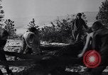 Image l'abattage d'arbres contest Luther Washington USA, 1935, de la seconde 32 séquences d'archives historiques vidéo 65675041274