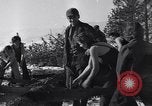 Image l'abattage d'arbres contest Luther Washington USA, 1935, de la seconde 41 séquences d'archives historiques vidéo 65675041274