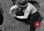 Image of Removal of ancient relics from Spiro mounds Spiro Oklahoma USA, 1936, second 26 stock footage video 65675041281