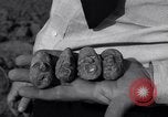 Image of Removal of ancient relics from Spiro mounds Spiro Oklahoma USA, 1936, second 27 stock footage video 65675041281