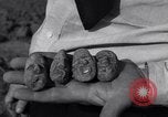 Image of Removal of ancient relics from Spiro mounds Spiro Oklahoma USA, 1936, second 28 stock footage video 65675041281