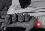 Image of Removal of ancient relics from Spiro mounds Spiro Oklahoma USA, 1936, second 29 stock footage video 65675041281