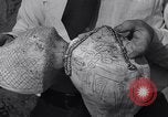 Image of Removal of ancient relics from Spiro mounds Spiro Oklahoma USA, 1936, second 35 stock footage video 65675041281