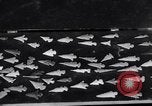 Image of Removal of ancient relics from Spiro mounds Spiro Oklahoma USA, 1936, second 49 stock footage video 65675041281