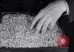 Image of Removal of ancient relics from Spiro mounds Spiro Oklahoma USA, 1936, second 53 stock footage video 65675041281